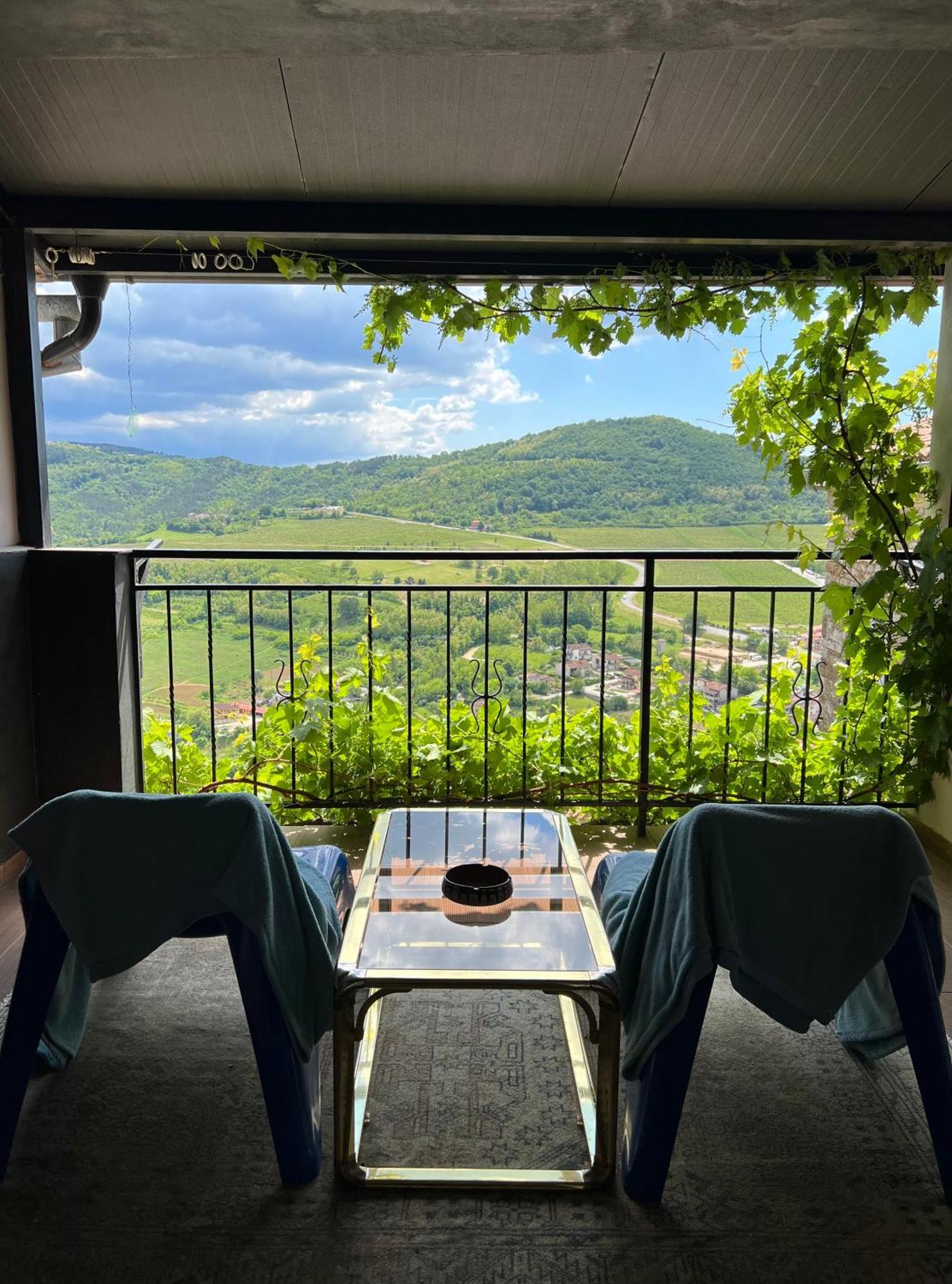 Apartament Birdhouse Motovun Zewnętrze zdjęcie